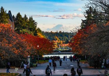 Photo of UW campus in Fall