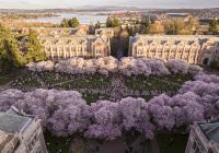 Cherry blossoms blooming on quad