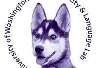 photo of Husky dog