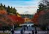 Photo of UW campus in Fall